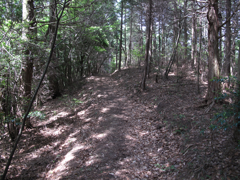 20140524hike (258)